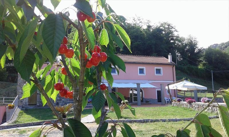 B&B La Casina Rosa La Spezia Valeriano Lunense Kültér fotó