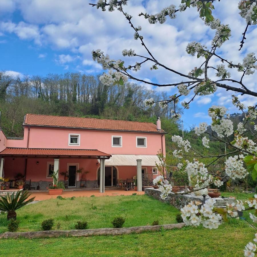 B&B La Casina Rosa La Spezia Valeriano Lunense Kültér fotó